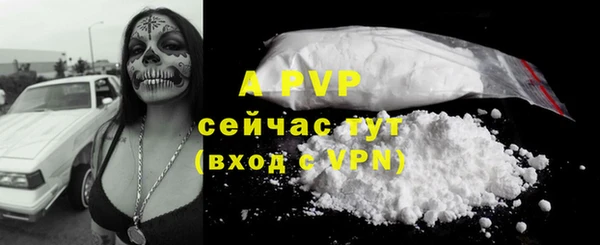 мдпв Верея