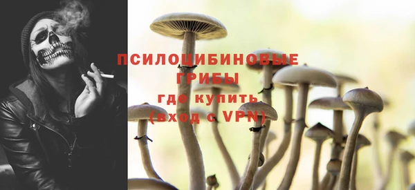 мдпв Верея