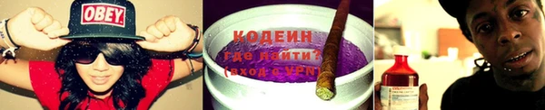 мдпв Верея
