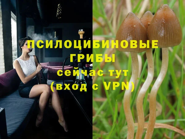 мдпв Верея