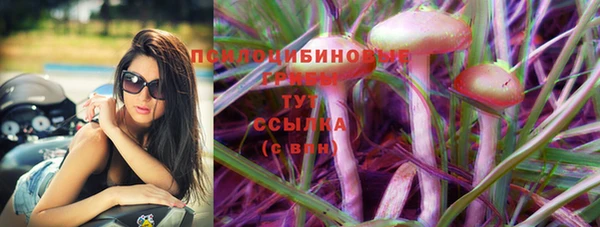 мдпв Верея