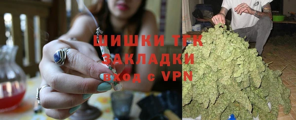 мдпв Верея