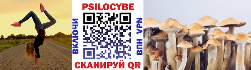даркнет как зайти  Иваново  Псилоцибиновые грибы Psilocybe 